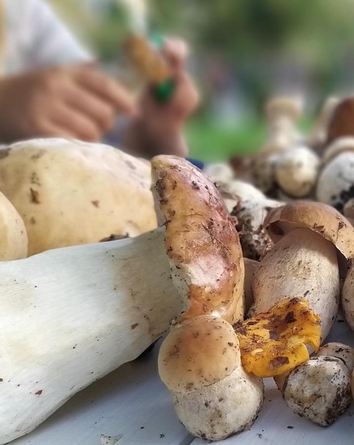 Przystan Na Zagorzu - Apartamenty Nad Jeziorem Drezdenko Esterno foto